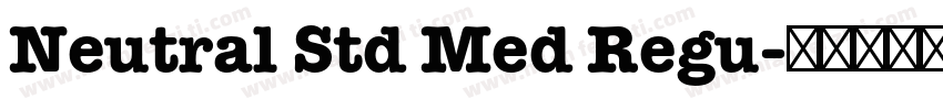 Neutral Std Med Regu字体转换